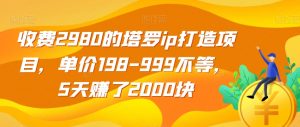 收费2980的塔罗ip打造项目，单价198-999不等，5天赚了2000块【揭秘】-开心分享网