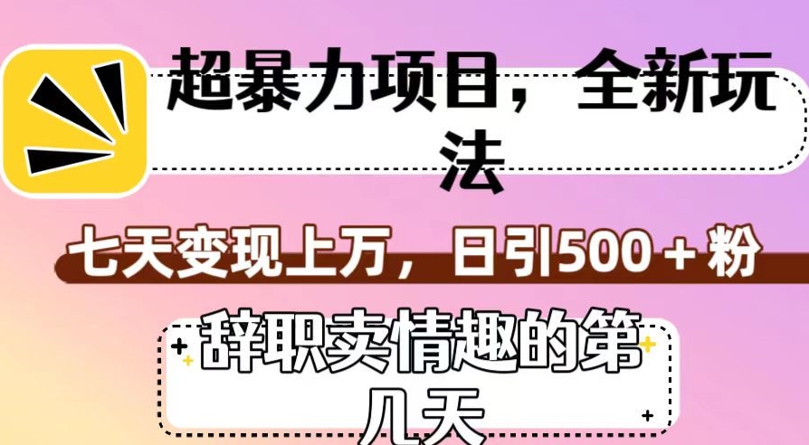 超暴利项目,全新玩法(辞职卖情趣的第几天),七天变现上万,日引500+粉【揭秘】-开心分享网