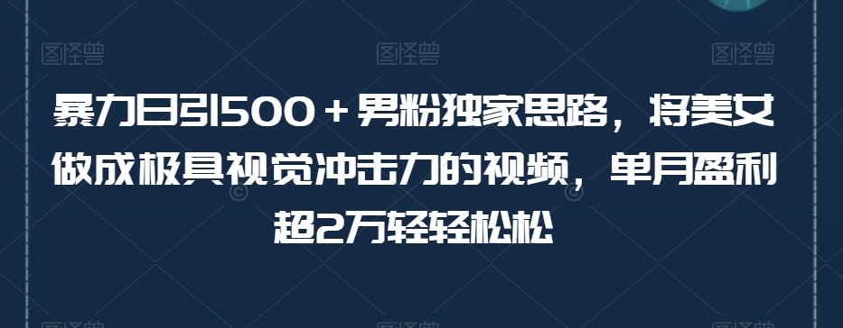 暴力日引500+男粉独家思路,将美女做成极具视觉冲击力的视频,单月盈利超2万轻轻松松-开心分享网