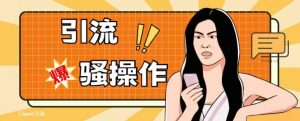 最新引流骚操作，单账号日引50-100，简单粗暴，适合于小白各行各业都可以进行操作，精准粉丝加到爆-开心分享网