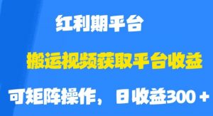 搬运视频获取平台收益,平台红利期,附保姆级教程【揭秘】-开心分享网