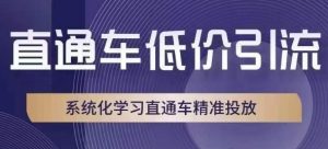 直通车低价引流课,系统化学习直通车精准投放-开心分享网