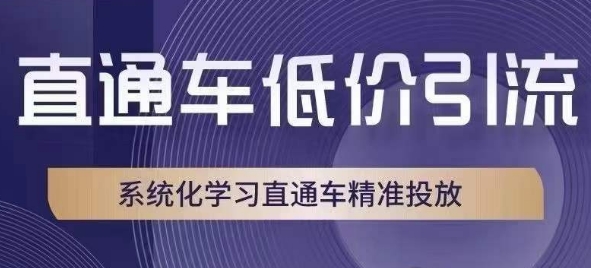 直通车低价引流课,系统化学习直通车精准投放-开心分享网