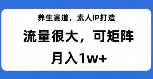 养生赛道,素人IP打造,流量很大,可矩阵,月入1w+【揭秘】-开心分享网