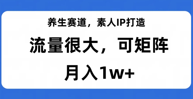 养生赛道，素人IP打造，流量很大，可矩阵，月入1w+【揭秘】-开心分享网