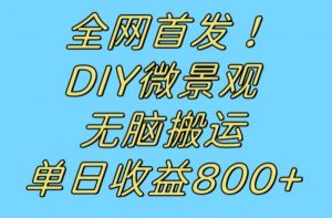 全网首发冷门赛道!DIY微景观,无脑搬运视频,日收益800+【揭秘】-开心分享网