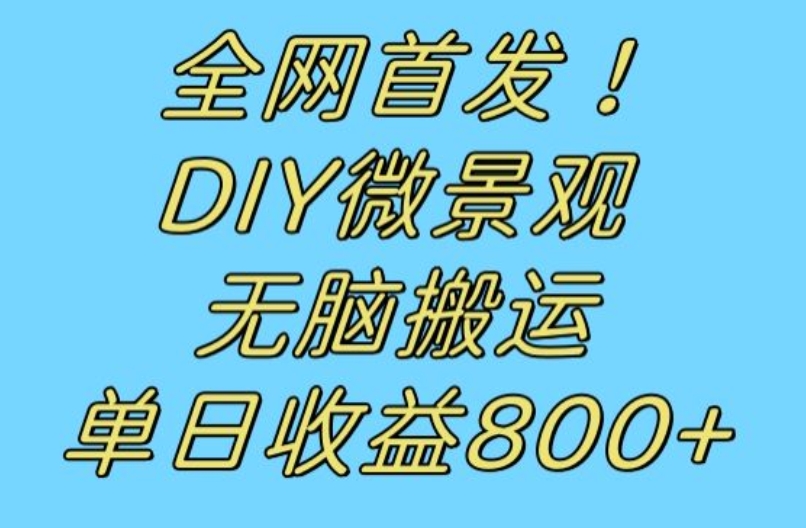 全网首发冷门赛道!DIY微景观,无脑搬运视频,日收益800+【揭秘】-开心分享网