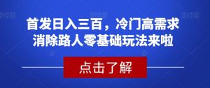 首发日入三百，冷门高需求消除路人零基础玩法来啦【揭秘】-开心分享网