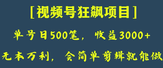 日收款500笔,纯利润3000+,视频号狂飙项目,会简单剪辑就能做【揭秘】-开心分享网