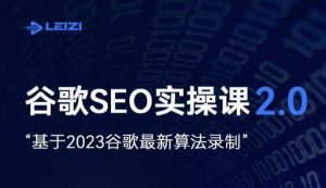 雷子·谷歌SEO 2.0实战课,独立站询盘自由必备,基于2023谷歌最新算法录制-开心分享网