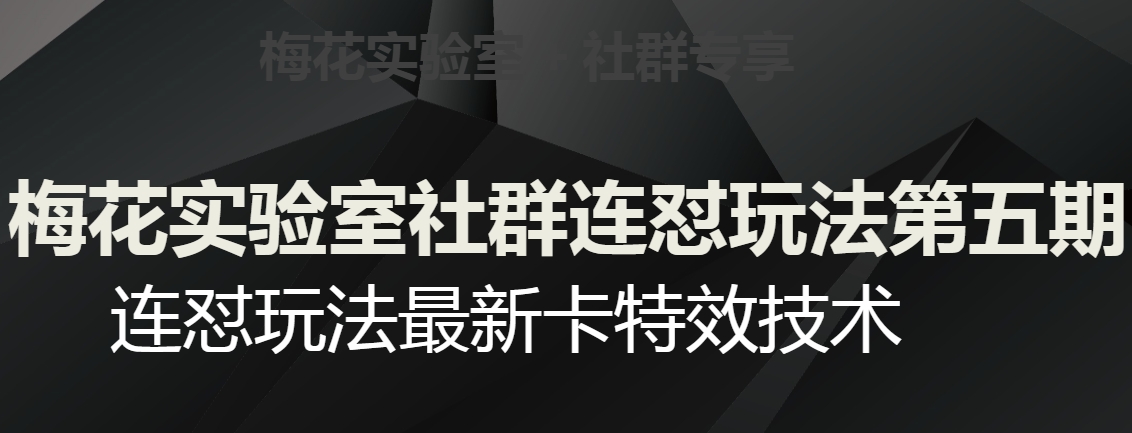 梅花实验室社群连怼玩法第五期，视频号连怼玩法最新卡特效技术-开心分享网