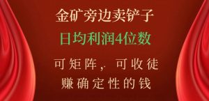金矿旁边卖铲子，赚确定性的钱，可矩阵，可收徒，日均利润4位数【揭秘】-开心分享网