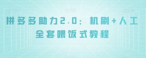 拼多多助力2.0：机刷+人工全套喂饭式教程【揭秘】-开心分享网