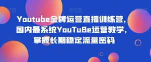 Youtube金牌运营直播训练营,国内最系统YouTuBe运营教学,掌握长期稳定流量密码-开心分享网
