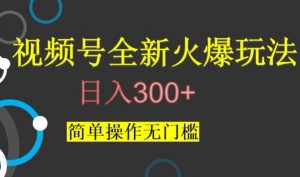 视频号最新爆火玩法,日入300+,简单操作无门槛【揭秘】-开心分享网