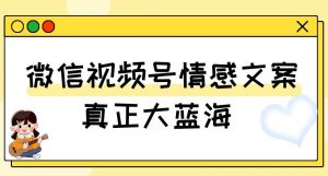 视频号情感文案，真正大蓝海，简单操作，新手小白轻松上手（教程+素材）【揭秘】-开心分享网