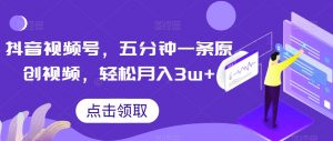 抖音视频号，五分钟一条原创视频，轻松月入3w+【独家秘诀，传授赚钱方法】【揭秘】-开心分享网