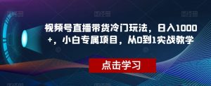 视频号直播带货冷门玩法，日入1000+，小白专属项目，从0到1实战教学【揭秘】-开心分享网