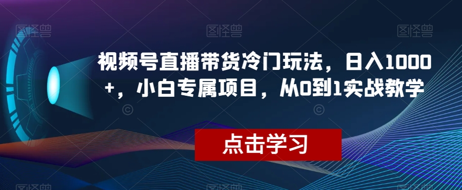 视频号直播带货冷门玩法，日入1000+，小白专属项目，从0到1实战教学【揭秘】-开心分享网