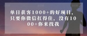 单日获客1000+的好项目，只要你微信扛得住，没有1000+你来找我【揭秘】-开心分享网