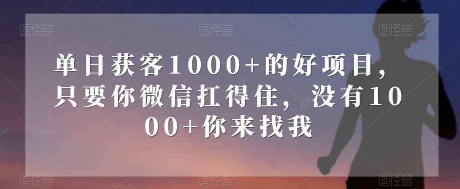 单日获客1000+的好项目，只要你微信扛得住，没有1000+你来找我【揭秘】-开心分享网