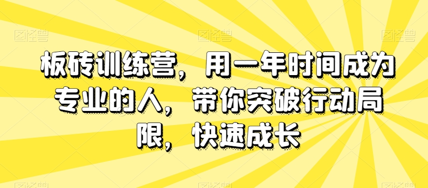 板砖训练营,用一年时间成为专业的人,带你突破行动局限,快速成长-开心分享网