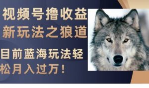 视频号撸收益新玩法之狼道,目前蓝海玩法,轻松月入过万【揭秘】-开心分享网