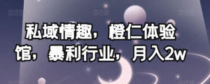 私域情趣，橙仁体验馆，暴利行业，月入2w【揭秘】-开心分享网