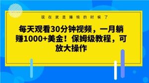 每天观看30分钟视频,一月躺赚1000+美金!保姆级教程,可放大操作【揭秘】-开心分享网