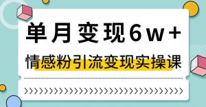 单月变现6W+,抖音情感粉引流变现实操课,小白可做,轻松上手,独家赛道【揭秘】-开心分享网