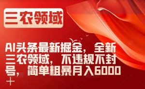 AI头条最新掘金，全新三农领域，不违规不封号，简单粗暴月入6000＋【揭秘】-开心分享网