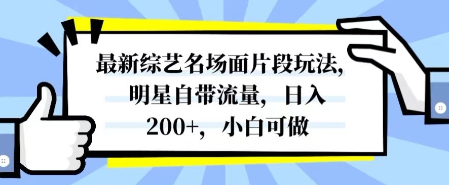最新综艺名场面片段玩法，明星自带流量，日入200+，小白可做【揭秘】-开心分享网