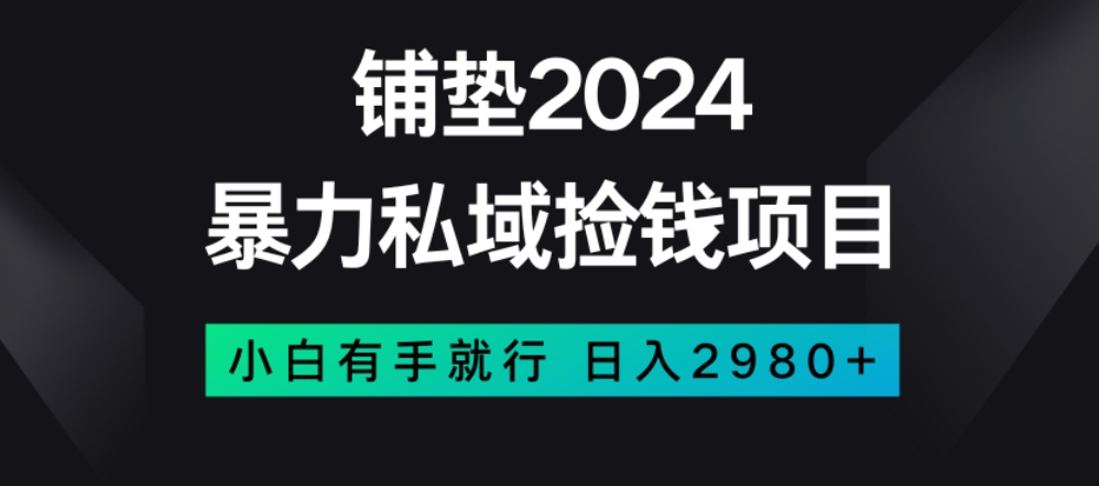暴力私域捡钱项目，小白无脑操作，日入2980【揭秘】-开心分享网