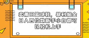 卖莆田篮球鞋，暴利掘金日入四位数新手小白都可以轻松上手【揭秘】-开心分享网
