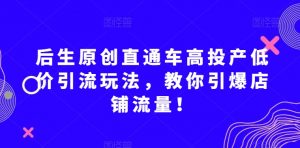 后生原创直通车高投产低价引流玩法,教你引爆店铺流量!-开心分享网
