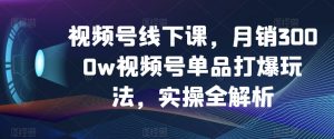 视频号线下课,月销3000w视频号单品打爆玩法,实操全解析-开心分享网