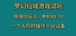梦幻仙域游戏试玩,免微信玩法,单机40-70,一个人同时操作十台设备【揭秘】-开心分享网