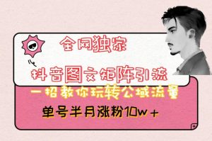 全网独家抖音图文矩阵引流,一招教你玩转公域流量,单号半月涨粉10w+【揭秘】-开心分享网