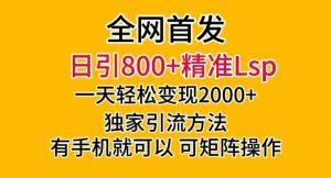 全网首发!日引800+精准老色批,一天变现2000+,独家引流方法,可矩阵操作【揭秘】-开心分享网