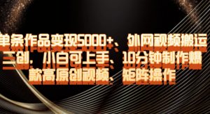 单条作品变现5000+、外网视频搬运二创，小白可上手，10分钟制作爆款高原创视频，矩阵操作【揭秘】-开心分享网
