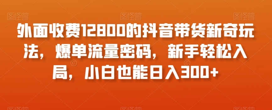 外面收费12800的抖音带货新奇玩法,爆单流量密码,新手轻松入局,小白也能日入300+【揭秘】-开心分享网