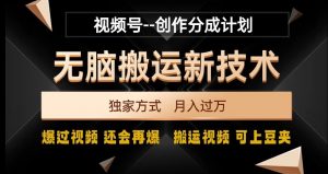 视频号无脑搬运新技术,破原创壕流量,独家方式,爆过视频,还会再爆【揭秘】-开心分享网
