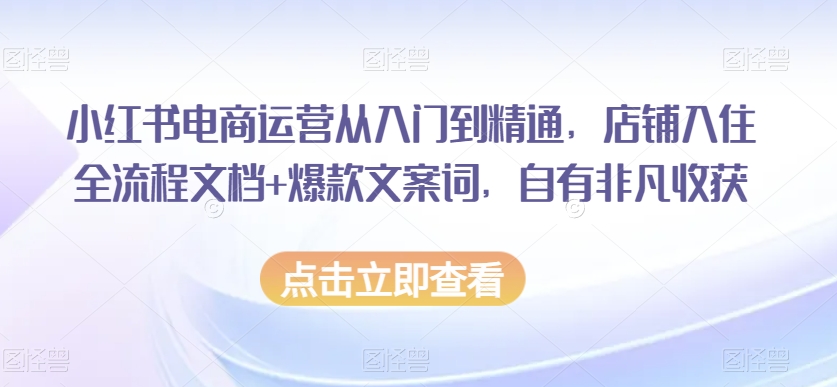 小红书电商运营从入门到精通,店铺入住全流程文档+爆款文案词,自有非凡收获-开心分享网