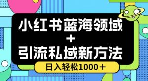 小红书蓝海虚拟＋引流私域新方法，100%不限流，日入轻松1000＋，小白无脑操作【揭秘】-开心分享网