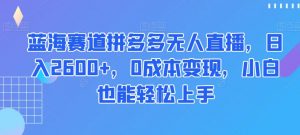 蓝海赛道拼多多无人直播,日入2600+,0成本变现,小白也能轻松上手【揭秘】-开心分享网