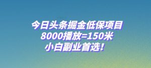 今日头条掘金低保项目，8000播放=150米，小白副业首选【揭秘】-开心分享网