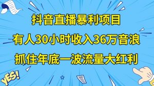 抖音直播暴利项目,有人30小时收入36万音浪,公司宣传片年会视频制作,抓住年底一波流量大红利【揭秘】-开心分享网