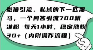 怎么搞精准创业粉?微信新赛道,每天一小时,利用Ai一个问答日引100精准粉-开心分享网