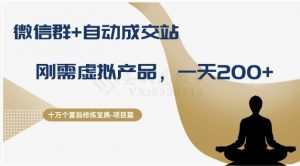 十万个富翁修炼宝典之8.微信群+自动成交站,刚需虚拟产品,一天200+-开心分享网