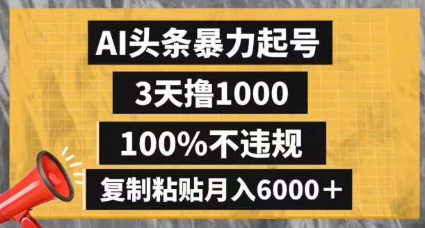 AI头条暴力起号，3天撸1000,100%不违规，复制粘贴月入6000＋【揭秘】-开心分享网